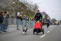 1157_DSC9602_matena-moments_stadtlauf